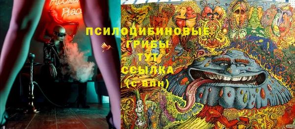 гидра Дмитровск