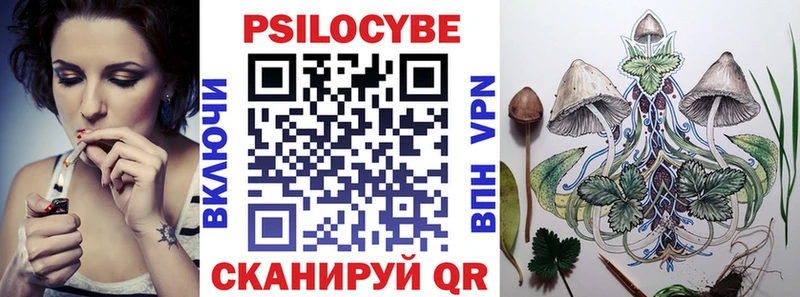 Купить закладки  Самара  Псилоцибиновые грибы Cubensis 
