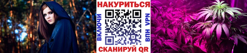 Купить закладки  Самара  Канабис ГИДРОПОН 